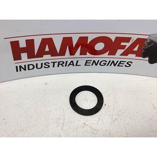 MAN SEALING RING 51.96601-0313 NEW