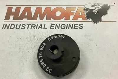 MANN INDICATOR 39 065 70 902 NEW