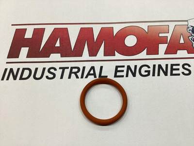 MTU O-RING 700429020000 NEW