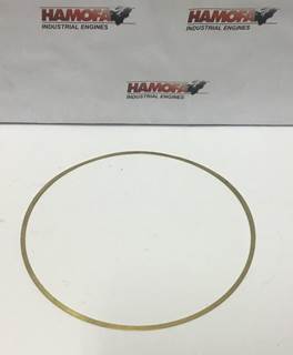 Mahle CYLINDER BUSH SHIM 0.30MM 153.7x148.1x0.30 NEW