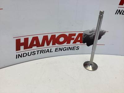 Mahle INLAATKLEP 1 RIL 061 VE 31126 000 NEW