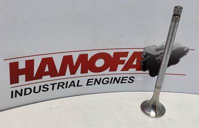 Mahle UITLAATKLEP 1 RIL 061 VA 31127 000 NEW