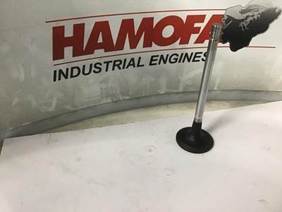 Mercedes-Benz INLET VALVE A 541 053 01 01 NEW