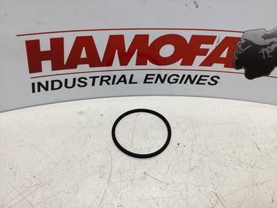 Mercedes-Benz O-RING A 025 997 43 48 NEW