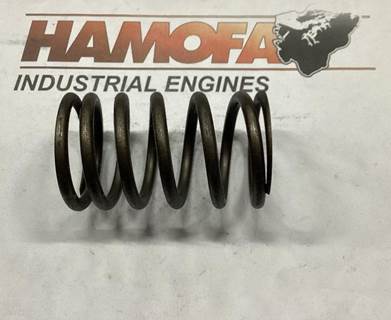 Mercedes-Benz VALVE SPRING, EXHAUST, OUTER A403 053 07 20 NEW