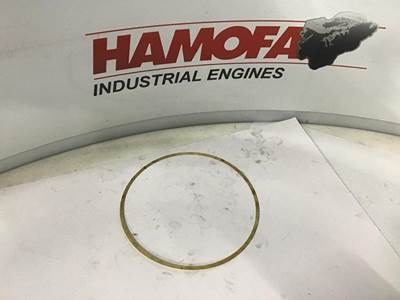 Scania CYLINDER BUSH SHIM 0.20MM 331874 NEW