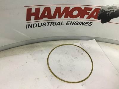 Scania CYLINDER BUSH SHIM 0.25MM 331875 NEW