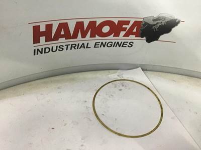 Scania CYLINDER BUSH SHIM 0.30MM 331876 NEW