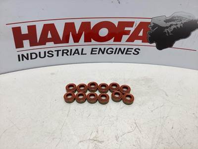 Victor Reinz KLEPSEAL IN+UITLAAT (SET VAN 12 STUKS) 12-40218-01