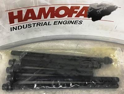 Victor Reinz LINDERKOPBOUTEN-SET (SET VAN 6 STUKS) 14-32217-01