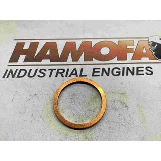 Victor Reinz PPER RING 41-70253-00 NEW