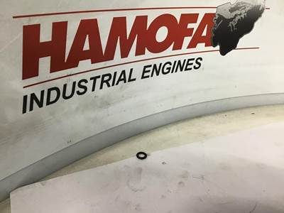 Volkswagen O-RINGEN BRANDSTOFLEIDING N90955703 NEW