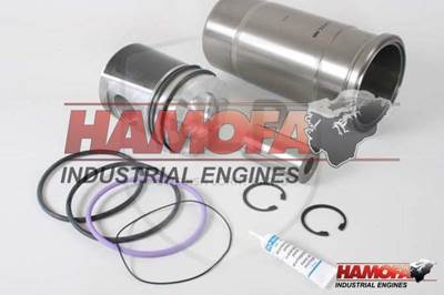 Volvo CYLINDER LINER KIT 276900 NEW