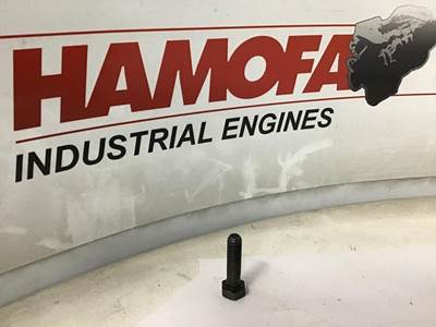 Volvo HEXAGON BOLT 940159 NEW