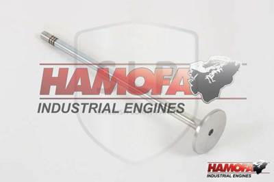 Volvo INLET VALVE 20528113 NEW