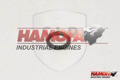 Volvo O-RING 11030751 NEW