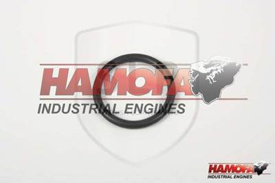 Volvo O-RING 20405599 NEW