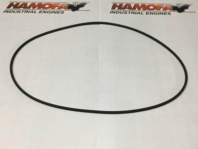 Volvo O-RING ACHTERKANT KEERRING 990249 NEW