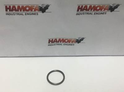 Volvo O-RING INJECTIESTIFT HOUDER 20939274 NEW