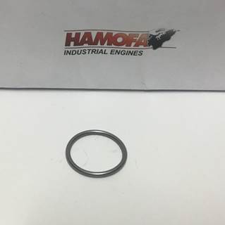 Volvo O-RING INJECTIESTIFT HOUDER 20939275 NEW