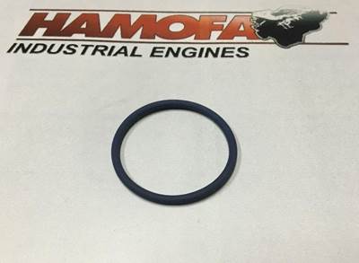 Volvo O-RING OLIEBUIS 13948610 NEW