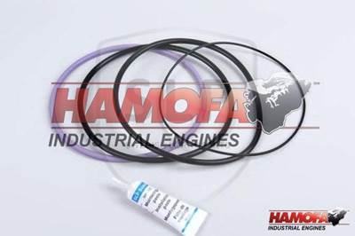 Volvo O-RING SET CYLINDER LINER 270950 NEW