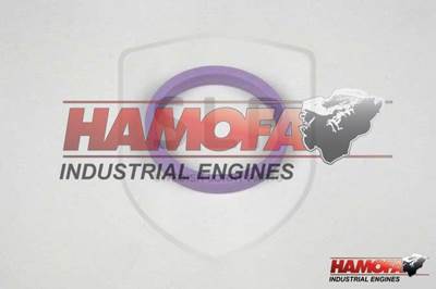 Volvo O-RING, SQUARE 20570444 NEW