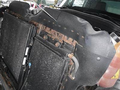 International TerraStar Cooling Assembly