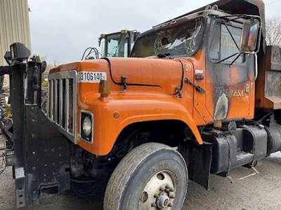 International 2574 Left Front Door Assembly