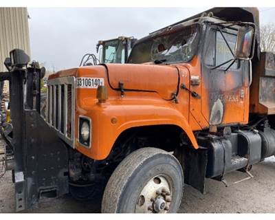 International 2574 Left Front Door Assembly