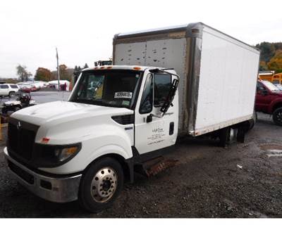 International TerraStar Left Front Door Glass