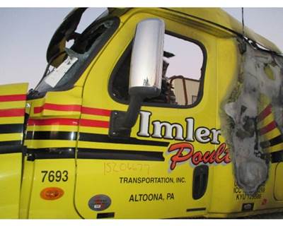 Freightliner Cascadia Left Door Mirror