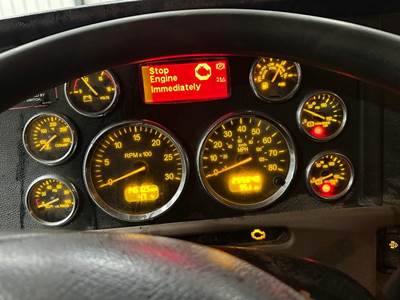 Peterbilt 389 Instrument Panel Cluster