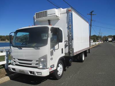 Isuzu NQR Refrigerated Truck - Automatic