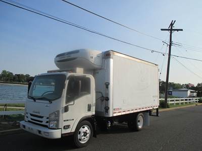 Isuzu NRR Refrigerated Truck - Automatic, Thermoking