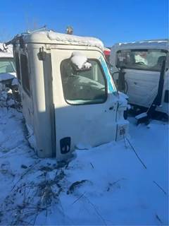 Freightliner Cascadia Right Door