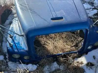 Freightliner Century Class Hood