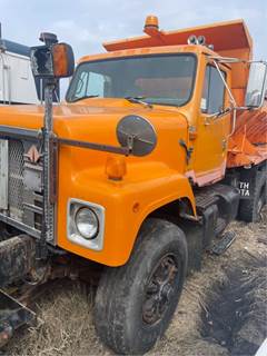 International 2524; 2554; 2574 Hood