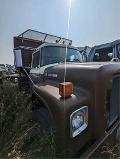 International Loadstar 1800 Hood for a International 1800 LOADSTAR