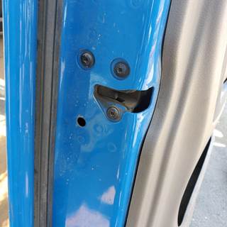 Freightliner Cascadia 125 Left Front Door Assembly