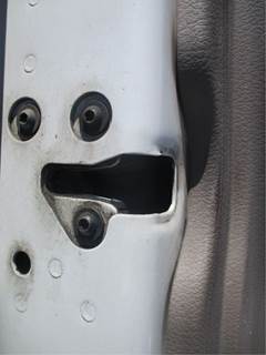 Freightliner Cascadia 125 Left Front Door Assembly