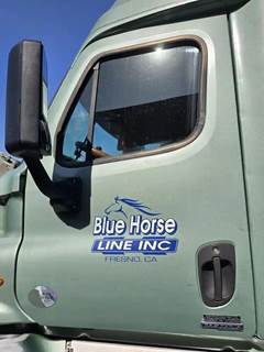 Freightliner Cascadia 125 Left Front Door Assembly