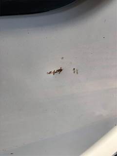 Isuzu Left Front Door Assembly