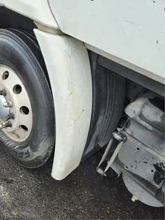 Freightliner Cascadia 113 Left Fender Extension