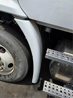 Freightliner Cascadia 113 Left Fender Extension