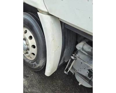 Freightliner Cascadia 113 Left Fender Extension