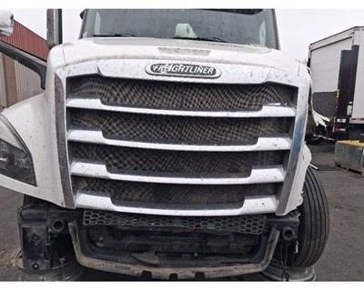 2019 Freightliner Cascadia 126 Chrome Grille