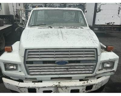 Used 1985 Ford F-700 Hood, Spotted and Rusty