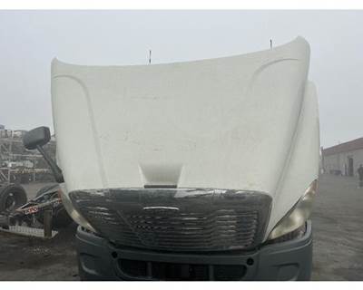 2013 Freightliner Cascadia 113 Hood, Complete 36.5"L SBA