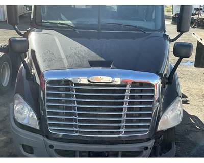 2016 Freightliner Cascadia 113 Complete Hood 36.5" L